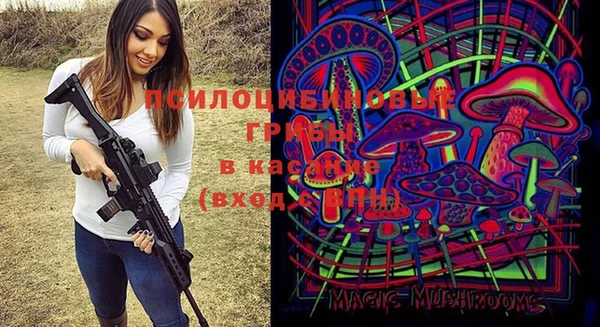мескалин Белокуриха