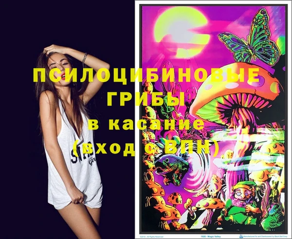 мескалин Белокуриха