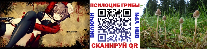 Галлюциногенные грибы мицелий  Пионерский 